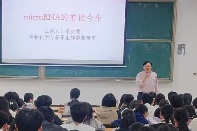 师生上课氛围融洽