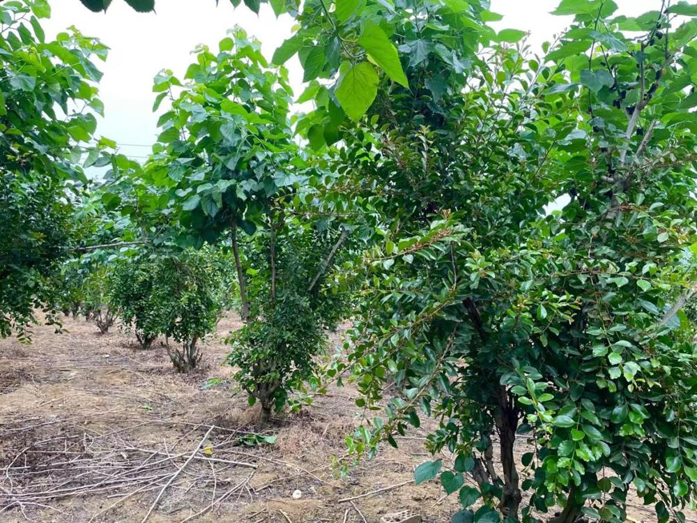 mmexport1683460164188 mmexport1683460164188