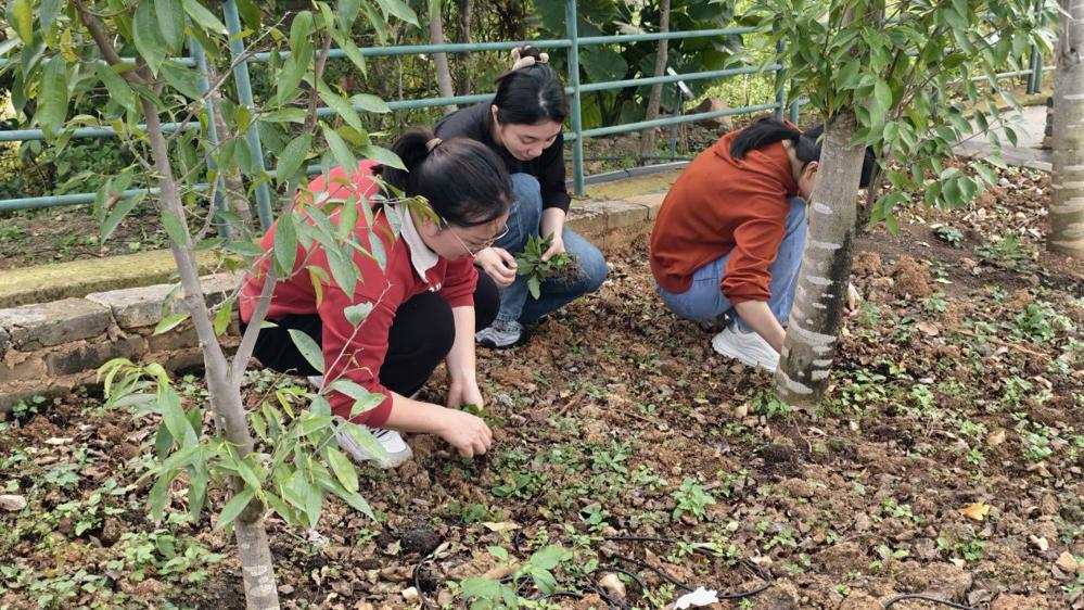 a16451458735f86feff9f52862ebc04