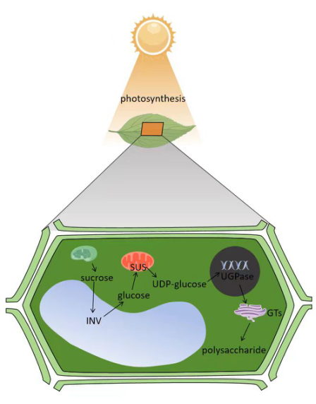 8CF512407F80FA18A5AD1471E12604B7